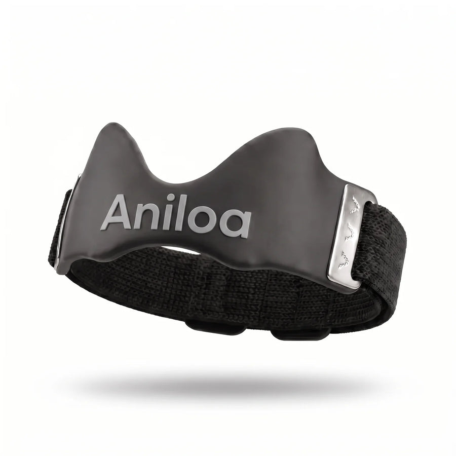 Correa de precisión Aniloa